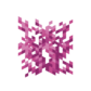 Мозговой коралл.png