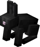 Чёрный кролик.png