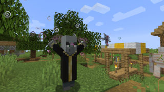 Вызыватель — Официальная Minecraft Wiki