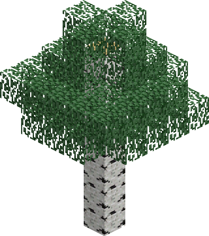 文件Birch Tree.png Minecraft Wiki
