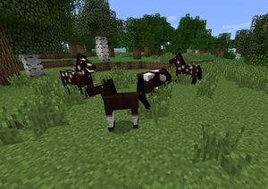 馬 Minecraft Wiki 最詳細的官方minecraft百科 馬 Minecraft Wiki 最詳細的官方minecraft百科