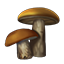 Crafting Resource Deathcap.png