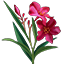 Crafting Resource Nerium.png