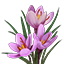 Crafting Resource Woodlily.png