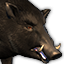 Icons Inventory Mount Boar Lunar.png