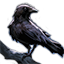 Icons Companion Wanderingscarecrow.png