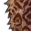 Crafting Leather Resource Exoticpelt 01.png