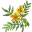 Crafting Resource Senna Leaves.png