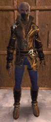neverwinter armor leather helm gamepedia