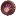 Companion Upgrade Token