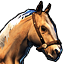 Icons Inventory Mount Horse Palomino.png