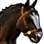 Icons Inventory Mount Clydesdale Brown.png