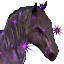 Icons Inventory Mount Horse Enchanted.png
