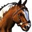Tethyr horse.png