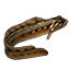 Icons Inventory Fishing Spottedeelpout.png