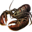 Icons Inventory Fishing Lobster.png