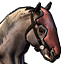 Pharaoh steed.png
