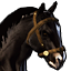 Icons Inventory Mount Horse Black.png