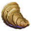 Icons Inventory Fishing Oyster.png