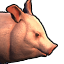 Icons Inventory Mount Pig 01.png