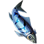 Icons Inventory Fishing Moonglowherring.png