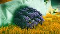 Hundium Jumerium.jpg