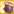 BarrelPet6.png