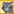 RaccoonPet4.png