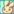 RbitPet6.png
