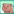 PigPet4.png