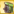 BarrelPet4.png