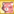 RaccoonPet5.png