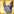 BatPet4.png