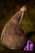 Leyline Water.png