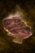 Cooked Boozu’s Meat.png