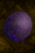 Boiled Veaber Egg.png