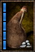 Waterskin-saltwater.png