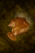Pouding Chomeur.png