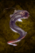 Antique Eel.png