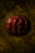 Boiled Purpkin.png