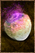 Boiled Turmmip.png
