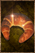 Bread Of The Wild.png