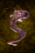 Grilled Eel.png