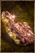 Cooked Jewel Meat.png