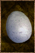 Bird Egg.png
