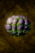 Purpkin.png