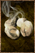 Grilled Crabeye Seed.png