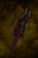 Boiled Dreamer’s Root.png