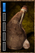 River Water.png