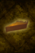 Purpkin Pie.png